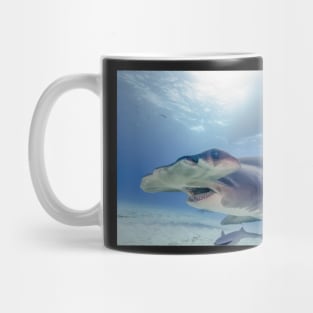 Great Hammerhead Shark in the Bahamas Mug